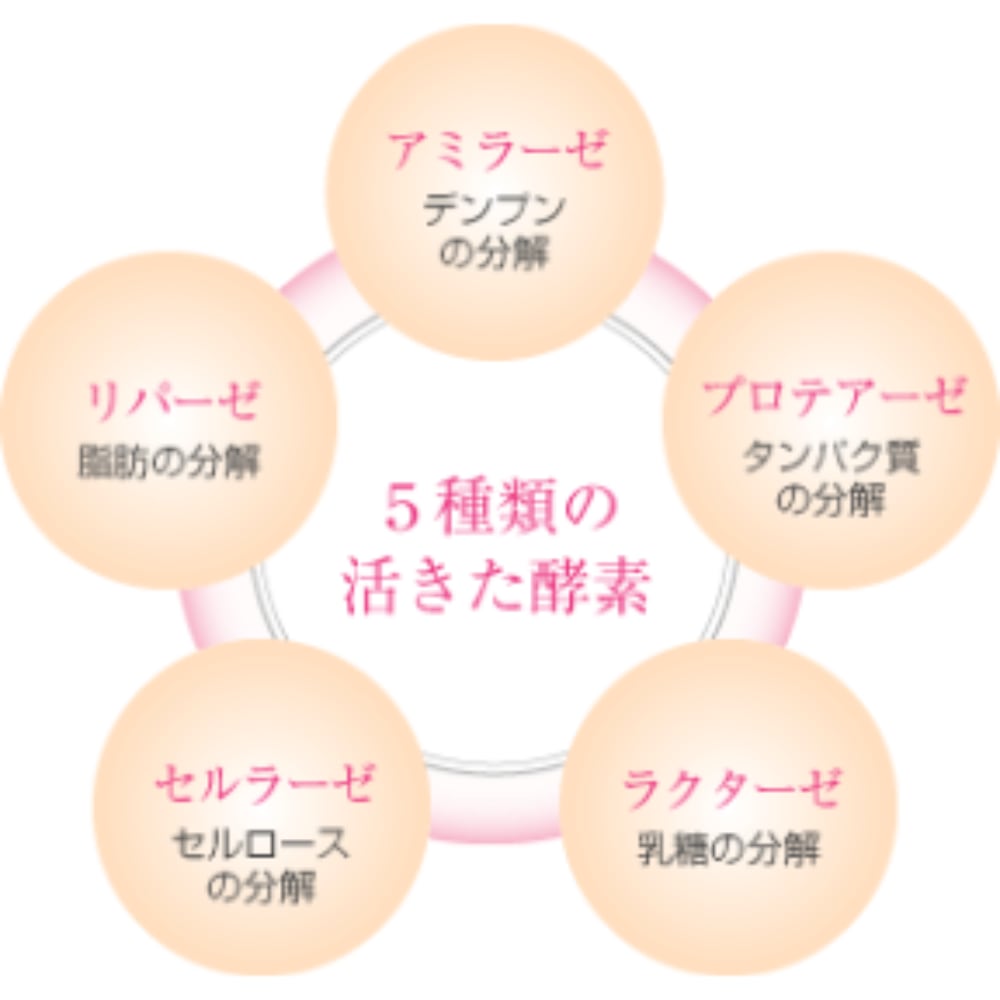 スリムエンザイムプラス