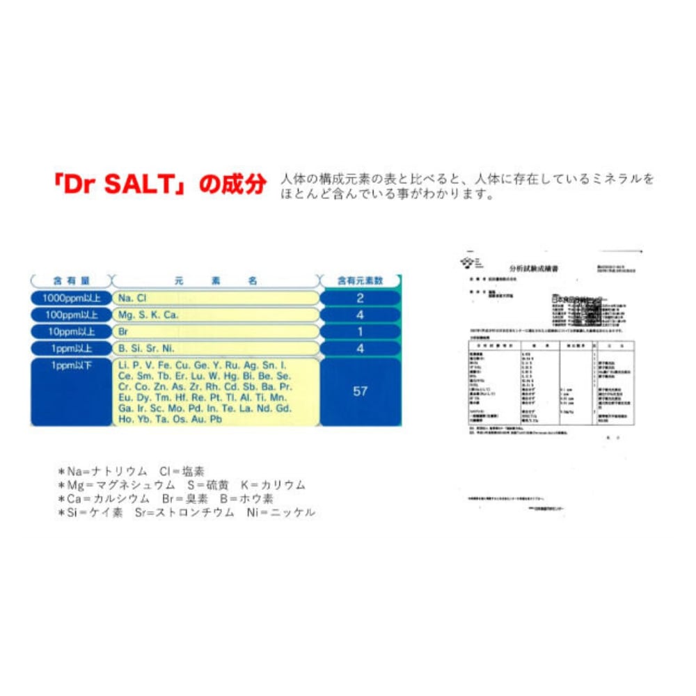 Dr.SALT Plus