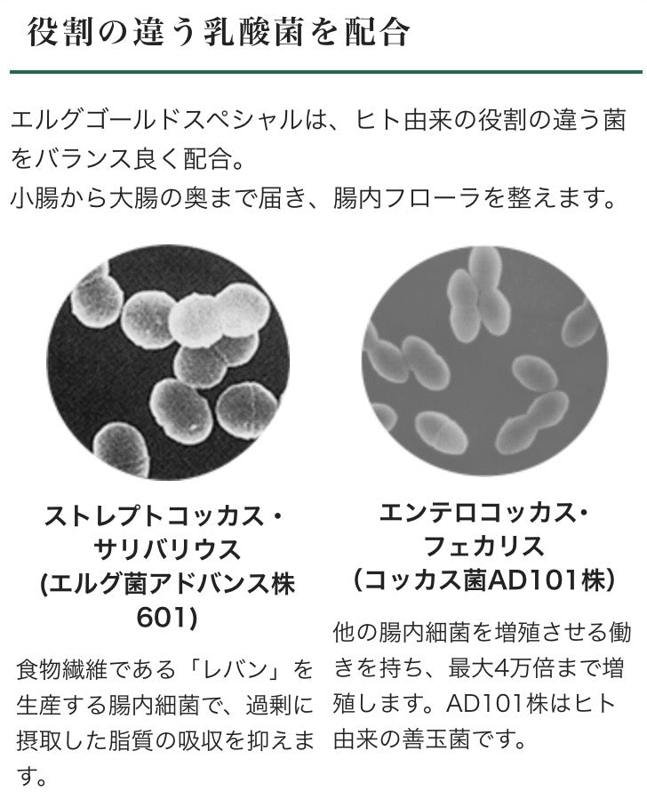 【乳酸菌加工食品】エルグゴールドスペシャル