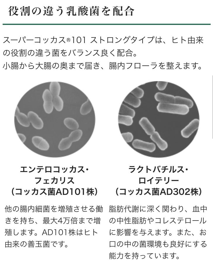 【乳酸菌加工食品】スーパーコッカス®101 ストロングタイプ