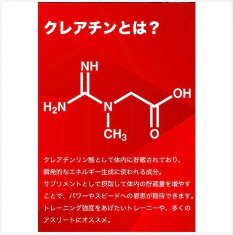 【さらに挑戦を続けたい方へ】クレアチン 200g（40回分）