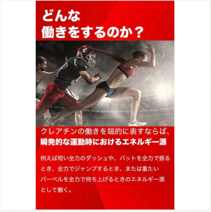 【さらに挑戦を続けたい方へ】クレアチン 200g（40回分）