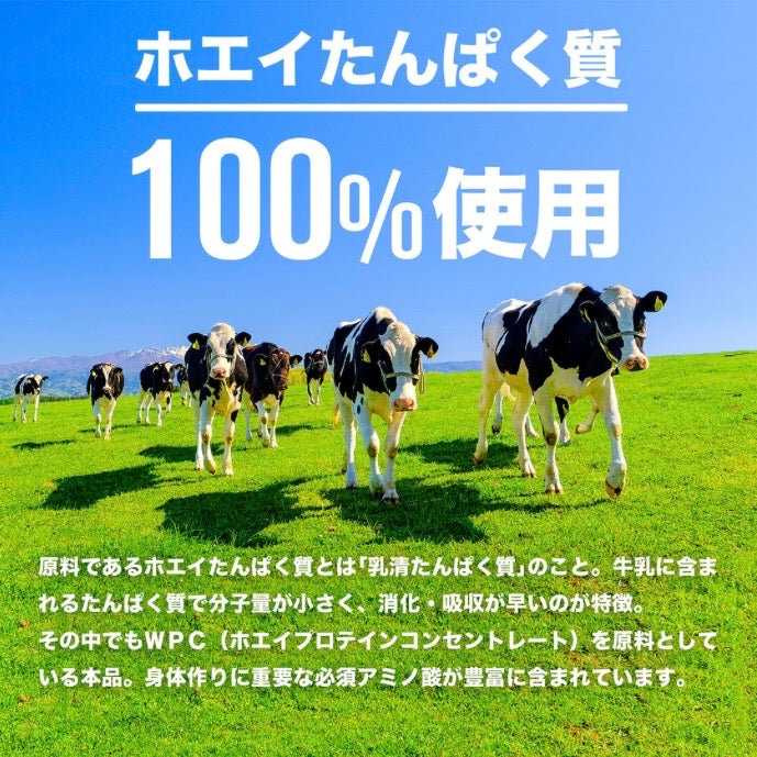 プロテインホエイ100　シングルパック　8風味セット