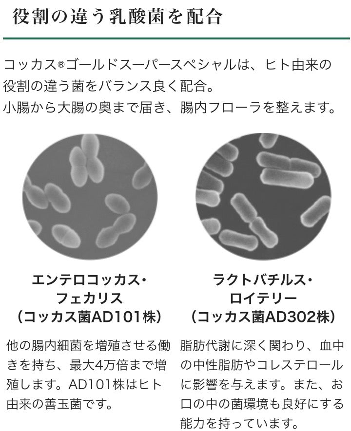 【乳酸菌加工食品】コッカス®ゴールドスーパー スペシャル