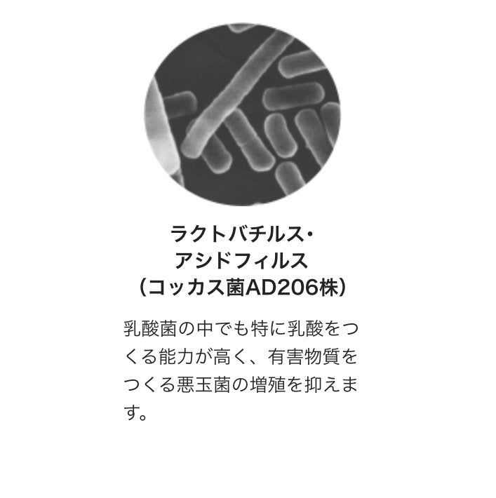 【乳酸菌加工食品】コッカス®ゴールドスーパー スペシャル