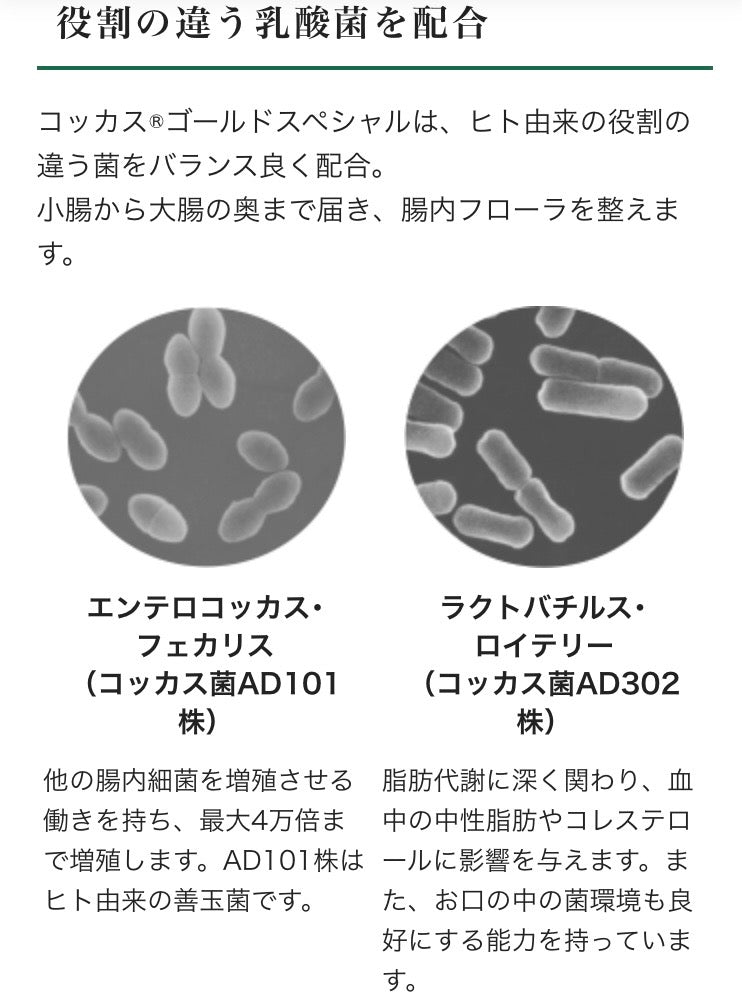 【乳酸菌加工食品】コッカス®ゴールドスペシャル