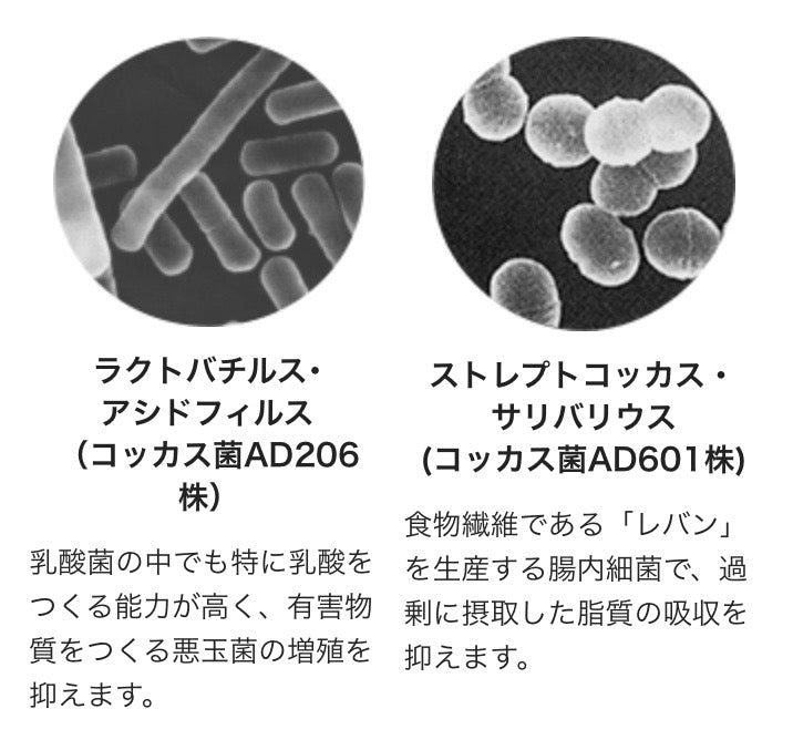 【乳酸菌加工食品】コッカス®ゴールドスペシャル