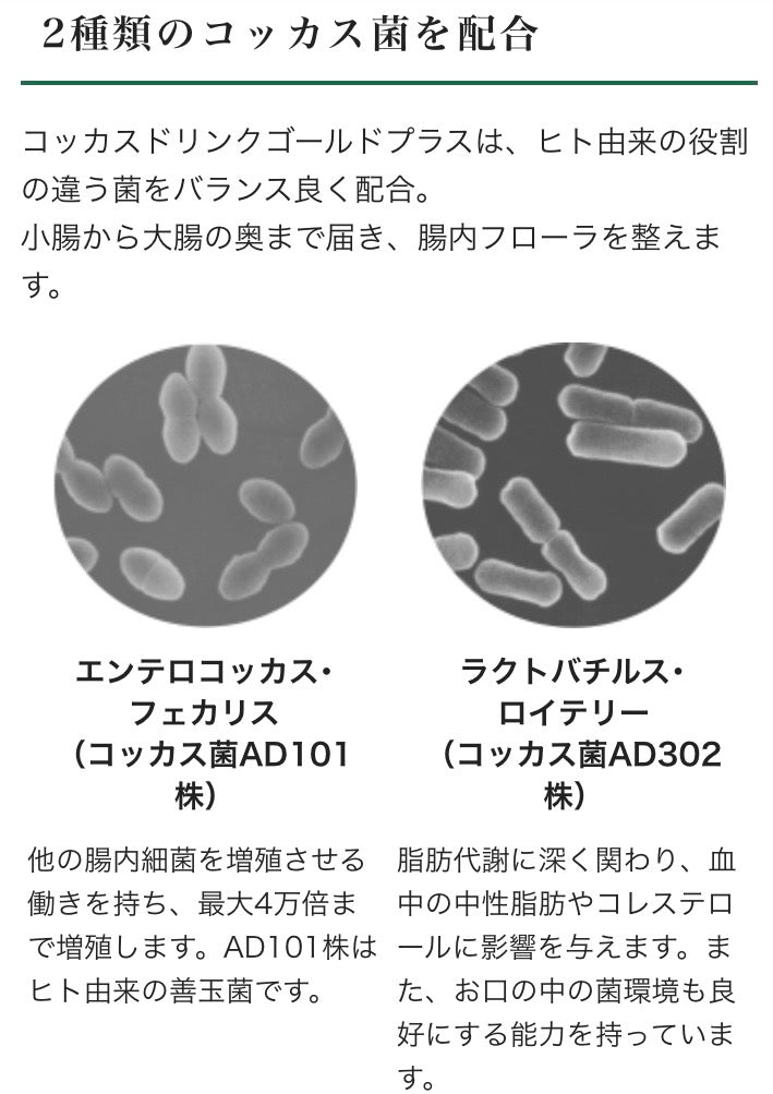 コッカスドリンク　ゴールドプラス（50ml✕10本）