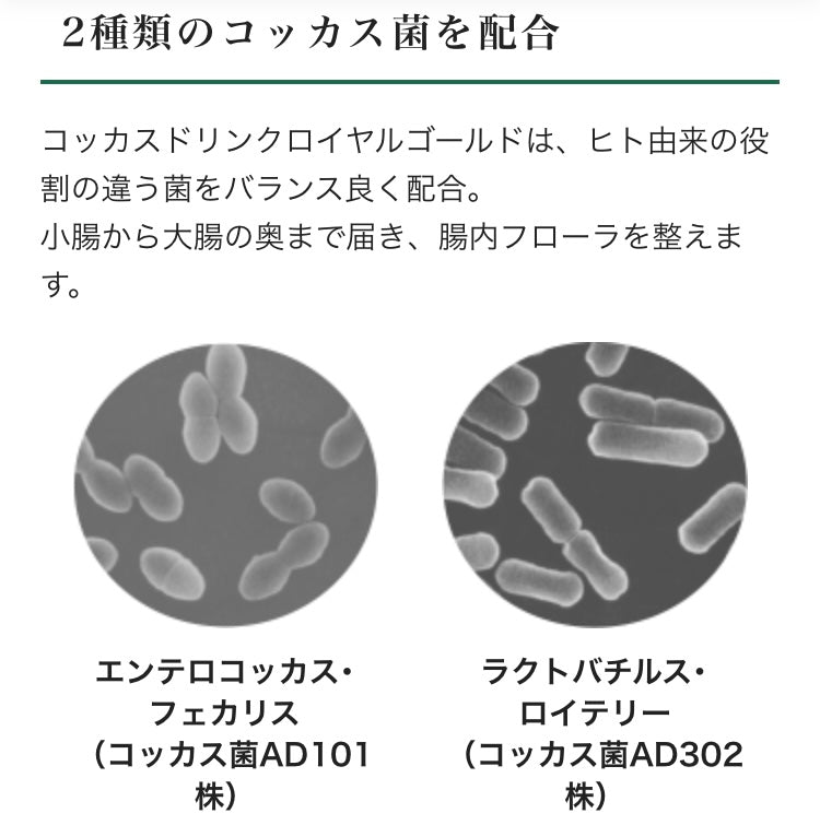 コッカスドリンク　ロイヤルゴールドプラス（50ml✕10本）